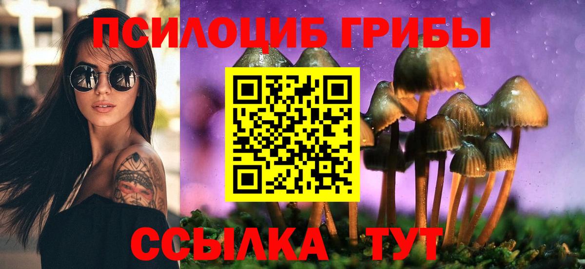 Орехово-Зуево  Псилоцибиновые грибы GOLDEN TEACHER  Вход с VPN  купить   Псилоцибиновые грибы Psilocybe 